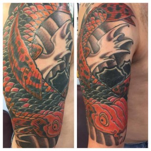 koi cover up